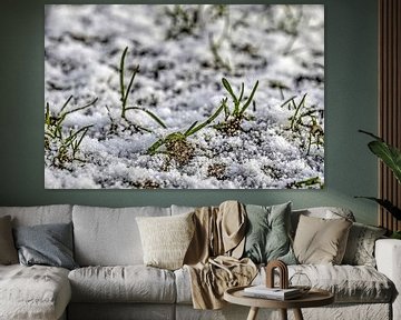 Grassprieten in de sneeuw van Frans Blok