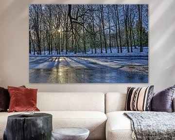 Winter in Park Sonsbeek van Frans Blok