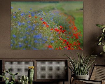 Bloemendijkje op Texel  van Elfriede de Jonge Boeree