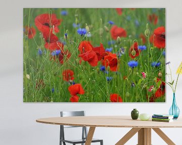 Klaprozen en korenbloemen in een veld  van Elfriede de Jonge Boeree