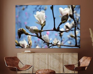 Magnolia blossem by Raoul Suermondt