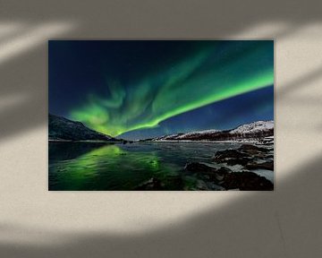 Nordpolarlicht der Aurora im nächtlichen Himmel über Nordnorwegen von Sjoerd van der Wal