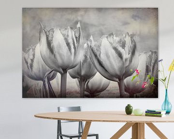 Abstracte tulpen in zwart wit