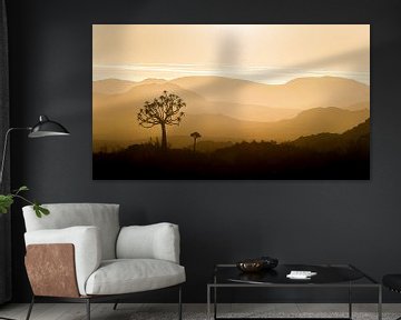 Panorama du coucher de soleil africain sur Vincent de Jong