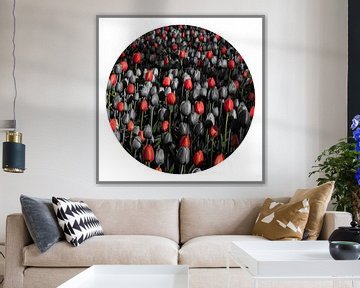 Compositie met tulpen