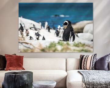 Penguin by Trudy van der Werf