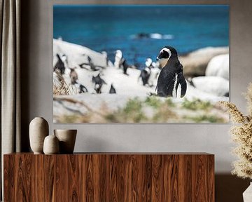 Pinguin von Trudy van der Werf