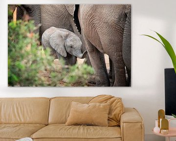 Baby-Elefant von Trudy van der Werf
