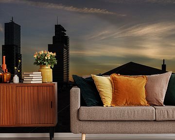 Rotterdam bij zonderondergang van Peter Dane