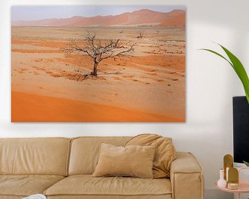 NAMIBIA ... Namib Desert Tree V