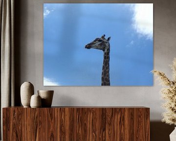 Giraffe hoofd van Robin van Tilborg