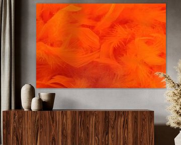 Orange feathers von Monique van Waterschoot