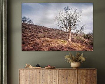 Einsamer Baum auf dem Posbank, Niederlande von Arja Schrijver Fotografie