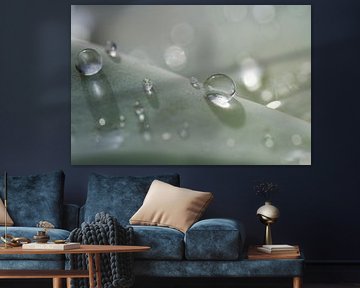 raindrops  by Marieke de Boer