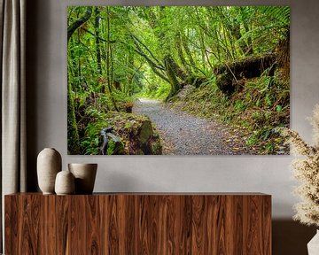 Chemin de la forêt dans Abel Tasman NP, Nouvelle-Zélande