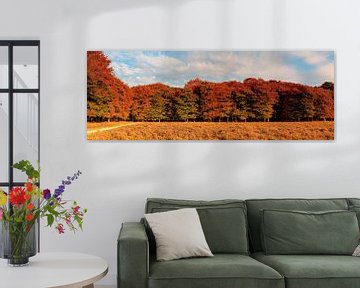 Panorama herfst kleuren van de bomen