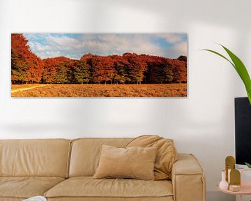 Panorama autumn colors of the trees by Anton de Zeeuw
