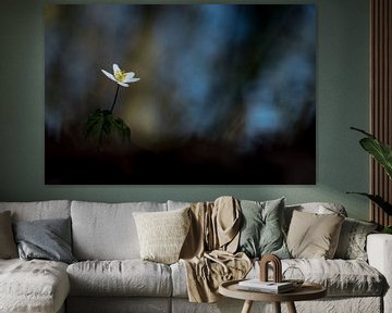 Wood Anemone in blue sur Erik Veldkamp