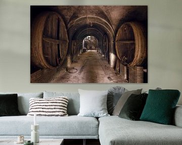 Abandoned Wine Cellar. by Roman Robroek