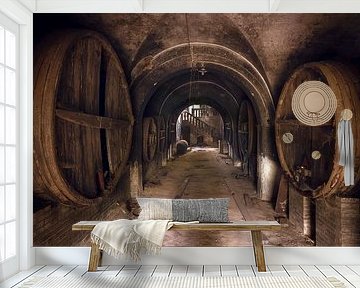 Abandoned Wine Cellar. by Roman Robroek - Photos of Abandoned Buildings