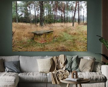 Abandoned well in the forrest sur Paul Oosterlaak