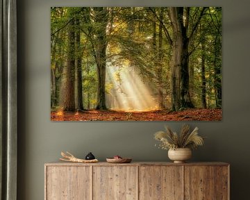 Shine ON van Lars van de Goor