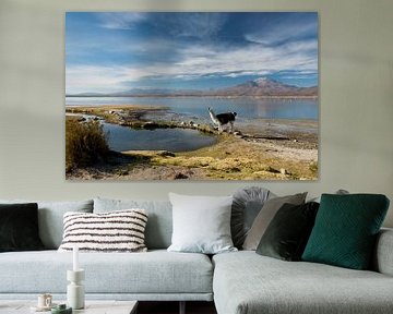Laguna Macaya von Abe Maaijen