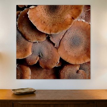 HERFST by Ad van Amelsfoort