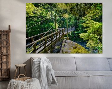 Wandelbrug over de rivier in Fiordland