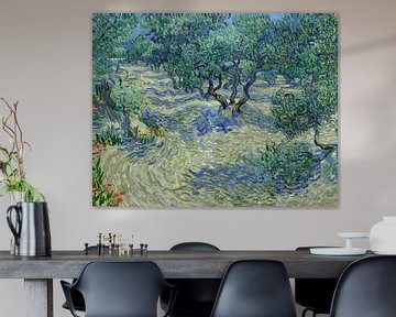 Vincent van Gogh. Verger d'oliviers