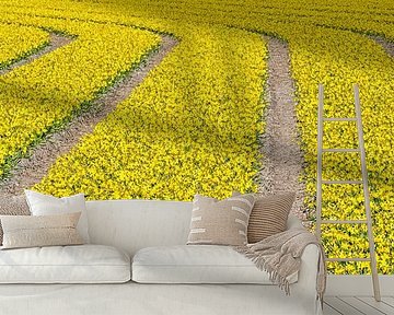 Lines of yellow flowers in panorama by eric van der eijk