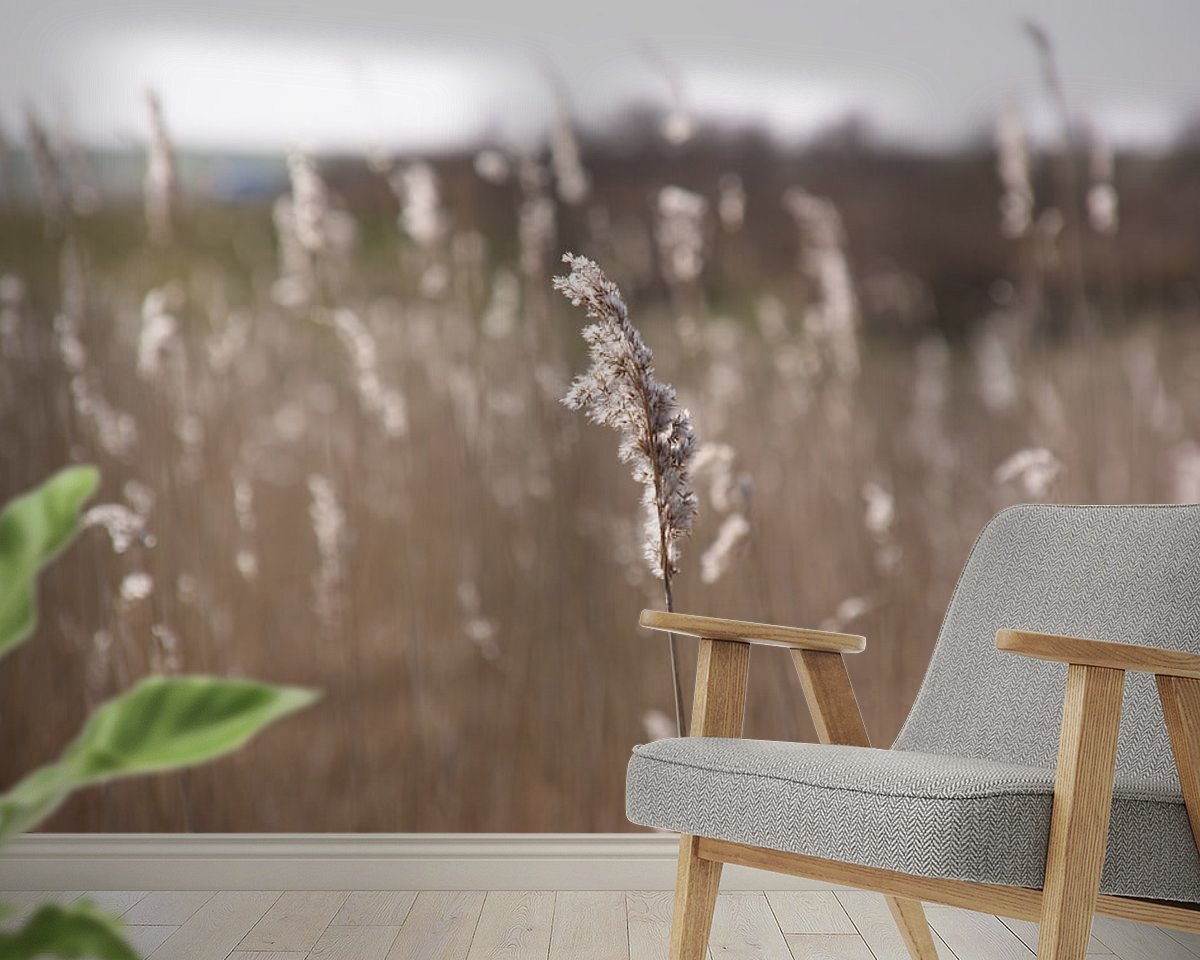 Raumvorschau