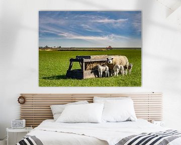 moeder schaap met lammetjes texel  van Texel360Fotografie Richard Heerschap