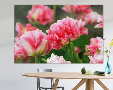 Roze Tulpen. van Marjan Kooistra