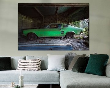 Une Ford Mustang abandonnée. sur Roman Robroek - Photos de bâtiments abandonnés