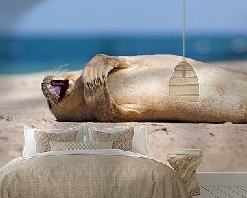 Glückliche Robbe am Strand von Anton de Zeeuw