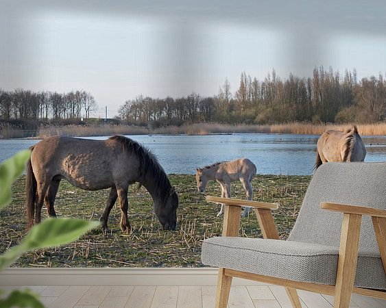 Raumvorschau