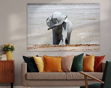 NAMIBIA ... Elephant fun I by Meleah Fotografie