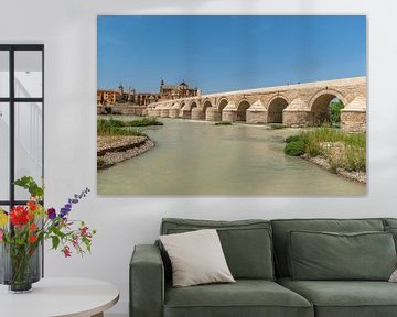 Roman bridge over the Guadalquivir river in Cordoba.  by Fotografiecor .nl