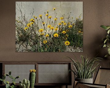 Yellow wall sunshine flowers van Karen Bos