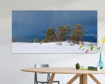 Dennenbomen langs een Fjord in Noord Noorwegen voor een sneeuwbui van Sjoerd van der Wal