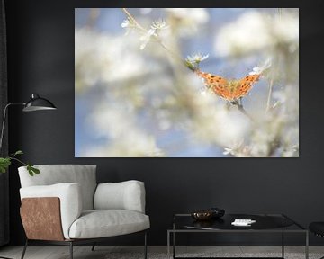 Orange butterfly between blossoms by Klaas Dozeman