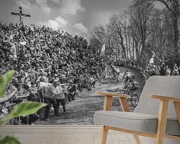 The Wall of Geraardsbergen by Leon van Bon