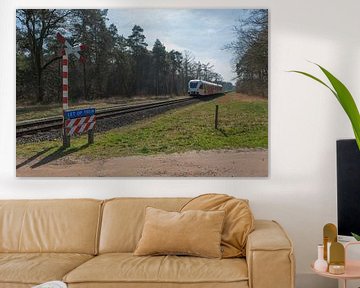 Onbewaakte spoorwegovergang in het oosten van Nederland van Tonko Oosterink