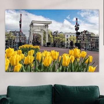 Skinny bridge Amsterdam