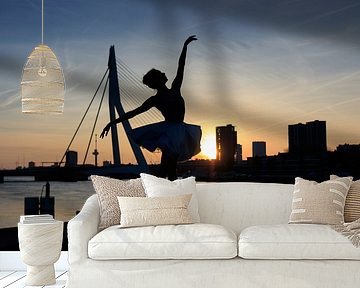 sunset ballet in Rotterdam by Eddie Meijer