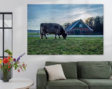Hooglander met rovershut texel van Texel360Fotografie Richard Heerschap