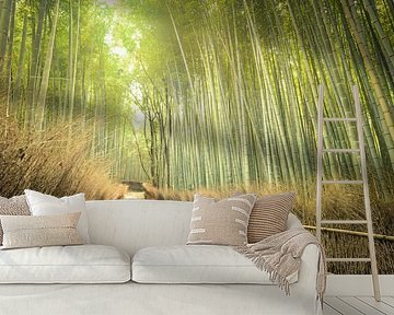 Bamboo Forest, Kyoto, Japan by Robert van Hall