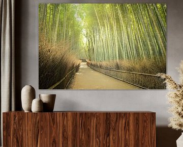 Bamboo Forest,  Kyoto, Japan van Robert van Hall