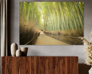 Bamboo Forest, Kyoto, Japan by Robert van Hall